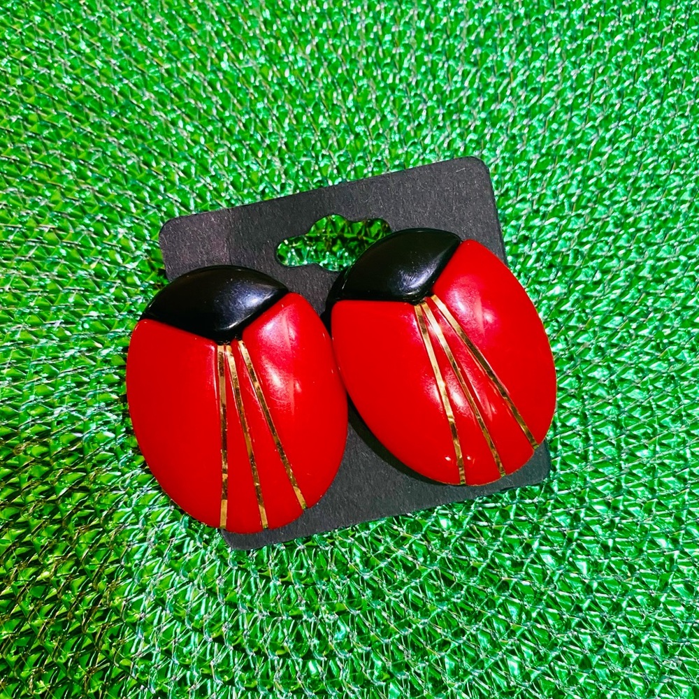 Lovely 💖 lucky 🍀 lady bug earrings.